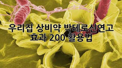 우리집 상비약💊 박테로신연고 효과 200% 활용법