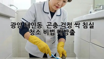 광양 태인동 🏡 곤충 걱정 싹! 침실 청소 비법 대방출 ✨